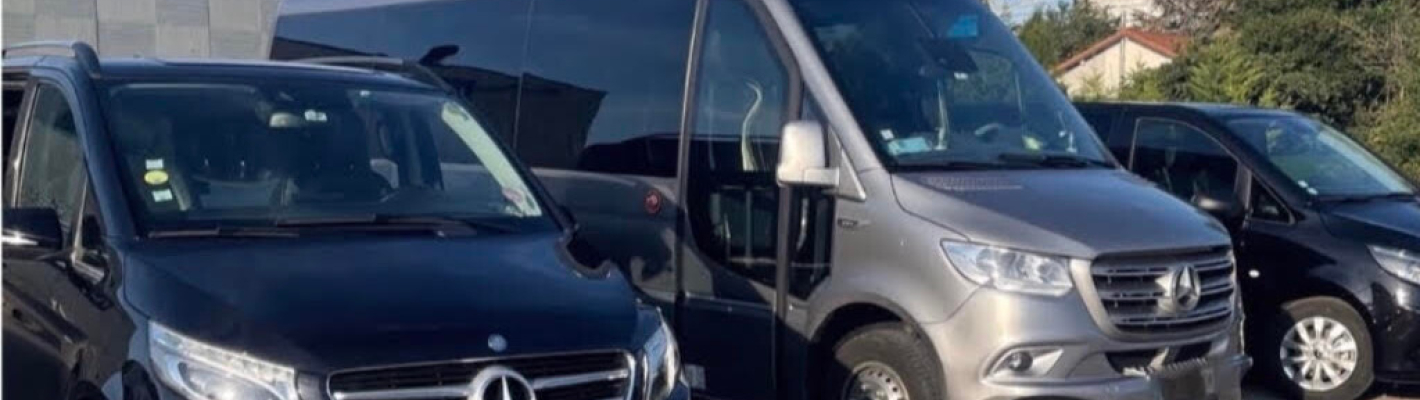 Lyon Transfert Aéroport image 1