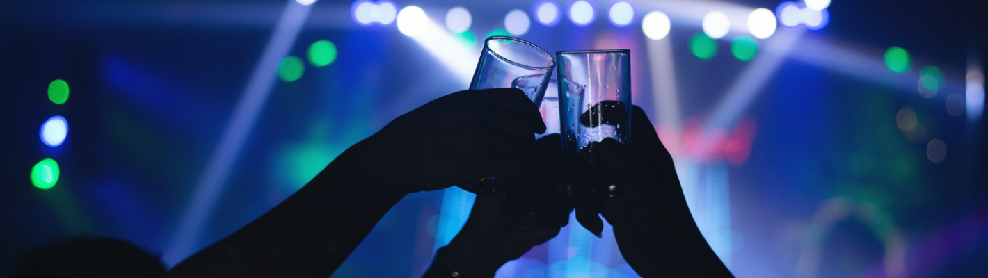 Hamburg Tournée des bars Ballermann Privée image 1