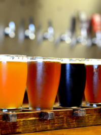 Visite d'une brasserie locale à Amsterdam Amsterdam