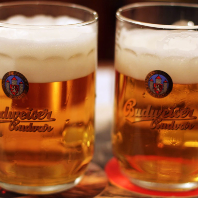 restaurace-u-medvidku4.jpg image 2