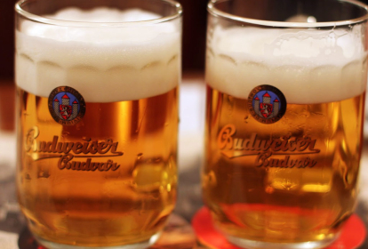 Prague Cours de Bière Pression image 2