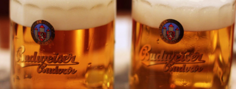 Prague Cours de Bière Pression image 2