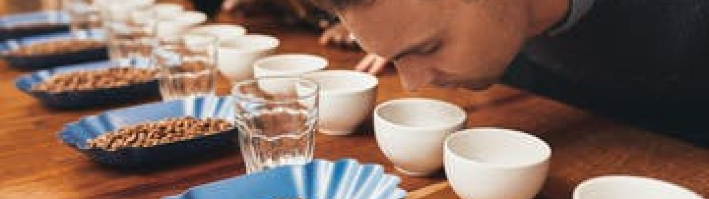 Hamburg Virée Gastronomique image 1