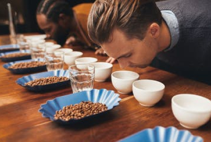 Hamburg Virée Gastronomique image 1