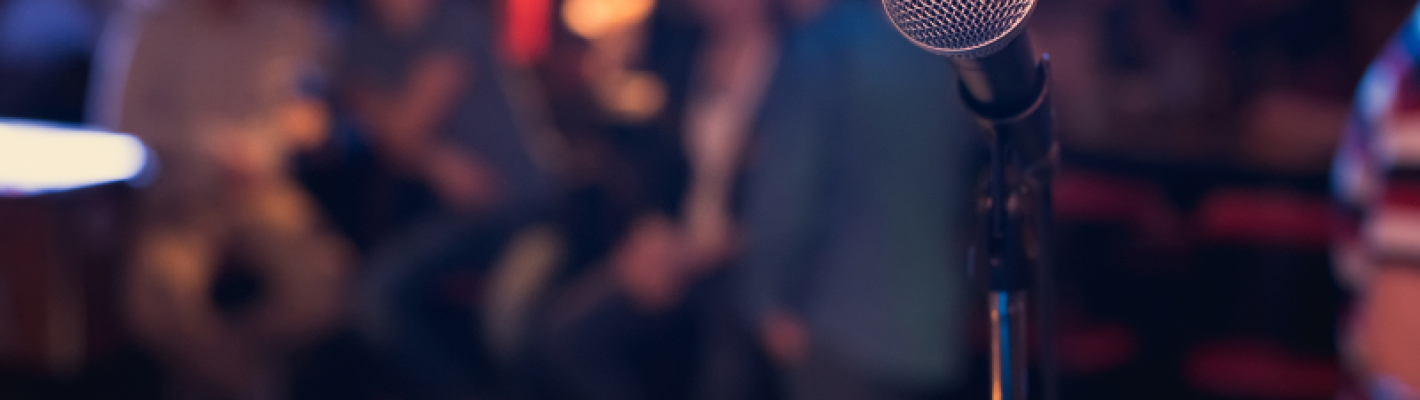 Hamburg Comedytour en Bus image 1