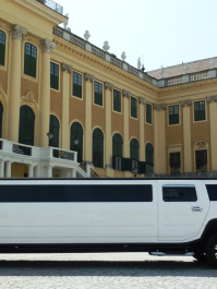 Limousine Hummer et Striptease Vienne