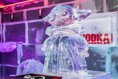 Barcelone Expérience Ice Bar image 5