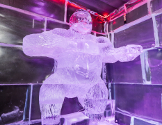 Barcelone Expérience Ice Bar image 3