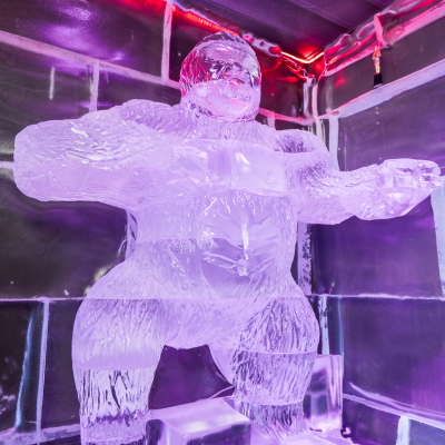 dsc05366.jpg image 3