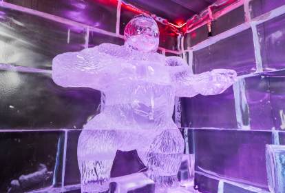 Barcelone Expérience Ice Bar image 3