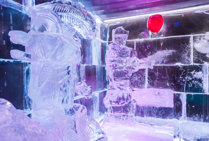 Barcelone Expérience Ice Bar image 2