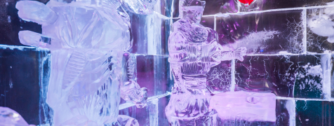 Barcelone Expérience Ice Bar image 2