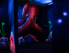 Paris Laser Tag - Public image 3