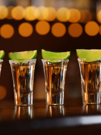 Dégustation d'alcool fort néerlandais Amsterdam