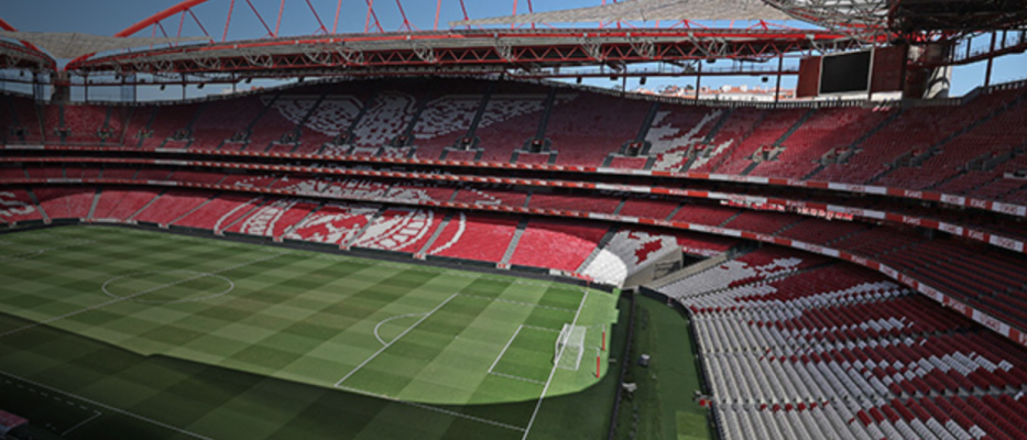 Lisbonne Stade et Musée de Benfica image 1