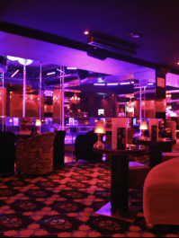 Club de strip-tease VIP Paris