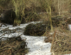 Prague Paintball image 3