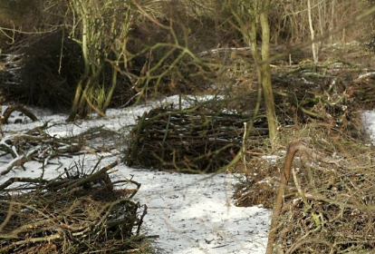 Prague Paintball image 3