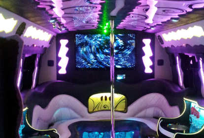 Hamburg LimoBus Deluxe image 2