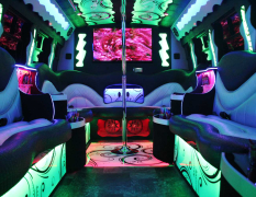 Hamburg LimoBus Deluxe image 3