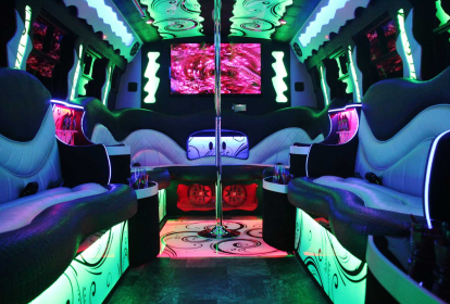 Hamburg LimoBus Deluxe image 3