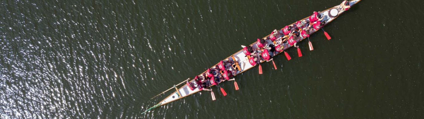 Prague Bateau-dragon image 1