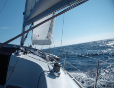 Lisbonne Balade en bateau image 3