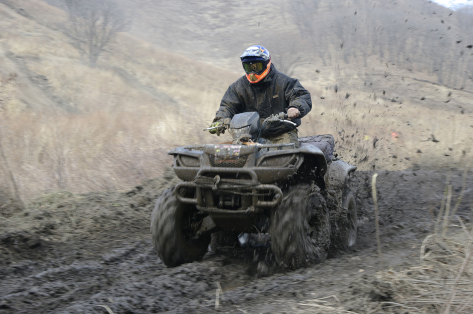 Quad Cross