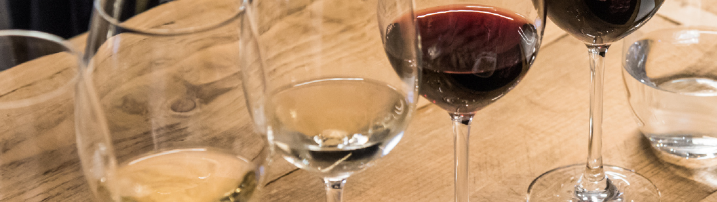 Bordeaux Dégustation de Vins image 1