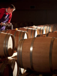 Visite du vignoble et dégustation de vins Bordeaux