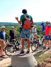 Cyclisme en vélo électrique dans les vignobles de Barcelone Barcelone