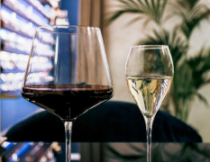 Prague Dégustation de vin image 4