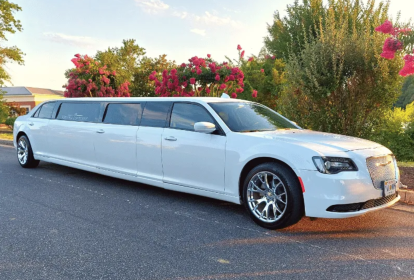 Lisbonne Tour en Limousine image 2