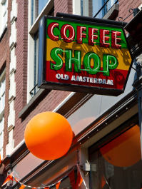 Tournée des Coffee Shops et Musée du Cannabis Amsterdam