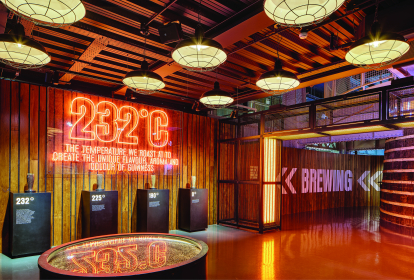 Dublin Visite de Guinness Storehouse image 3