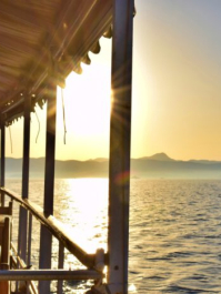 Croisière Détente et Tuba Majorque