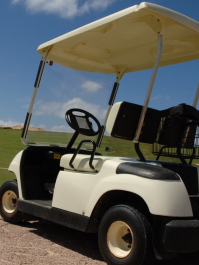 Visite en Voiturette de Golf Cracovie