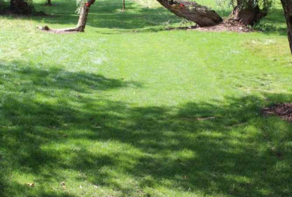 Prague Footgolf image 6