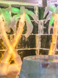 Ice Bar, Bar Robot et Boite Prague