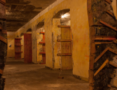 Budapest Séance de Paintball image 3