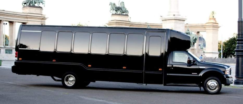 Budapest Party Bus image 1