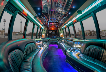 Budapest Party Bus image 3