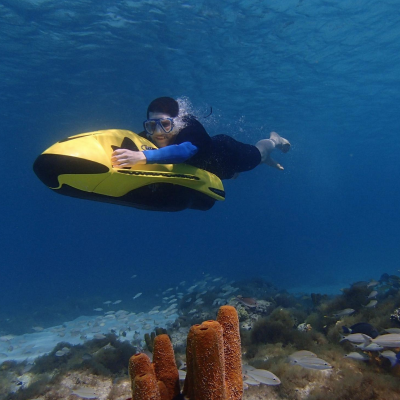 seabob-2.png image 1