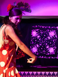 Spectacle de Flamenco et Dîner Barcelone