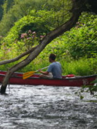 Virée en canoë Berlin