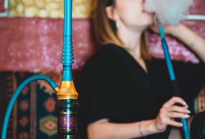 Budapest Chicha image 2
