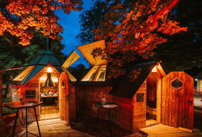 Vienne Cabane à Barbecue image 7