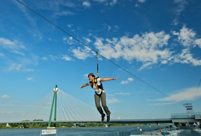 Vienne Power Fan et Flying Fox image 5