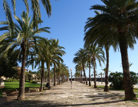 Mallorca